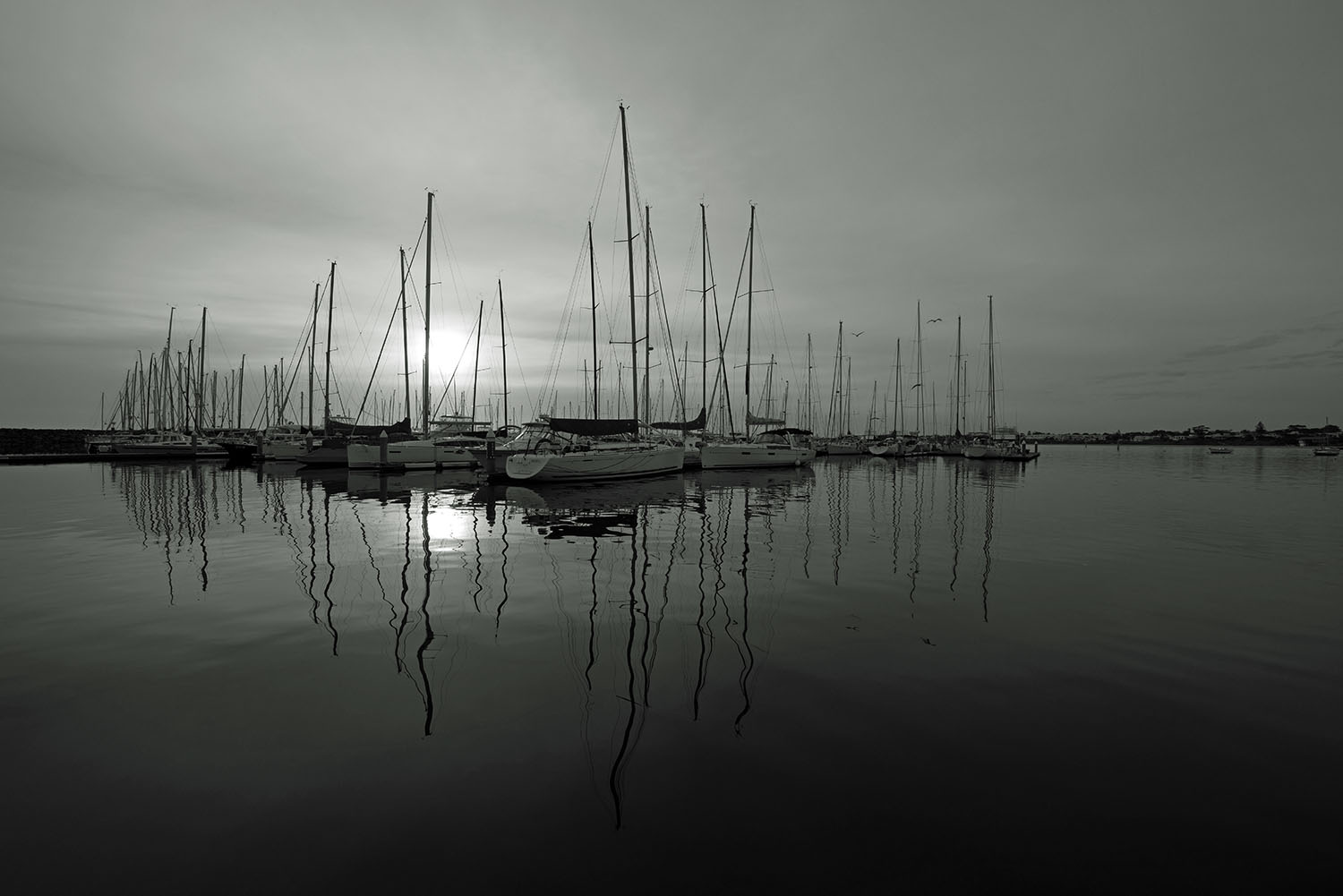 Rob Love Photography, Melbourne. Photo of Yachting